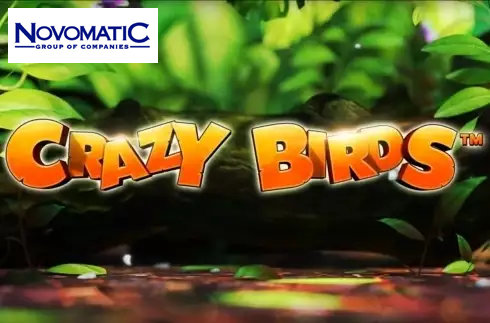 Crazy Birds